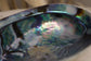 COQUILLAGE ABALONE