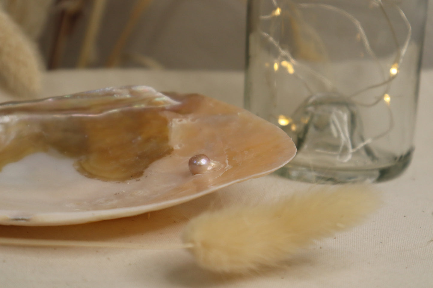 COQUILLAGE NACRE AVEC PERLE