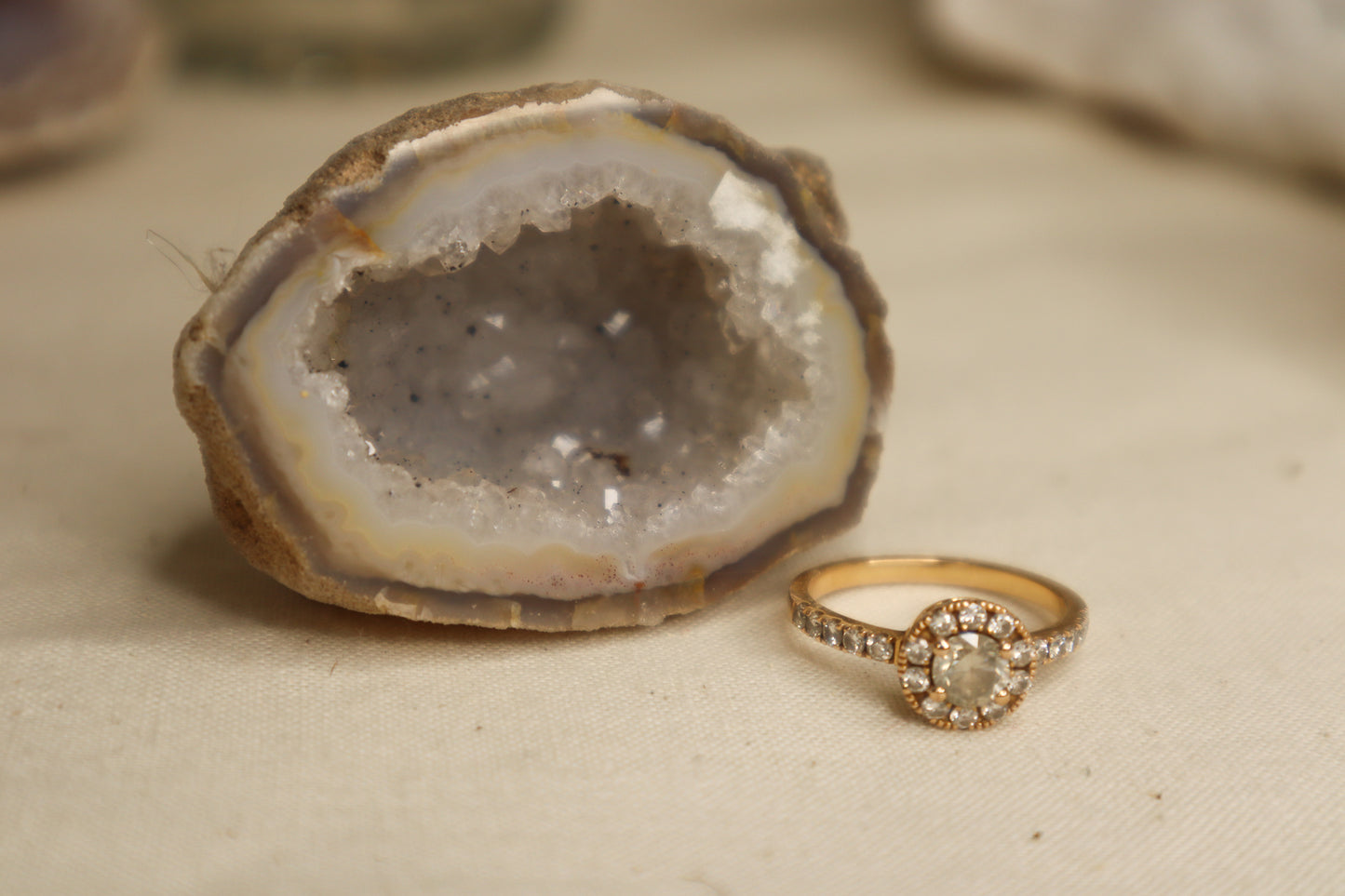 PETITE GEODE