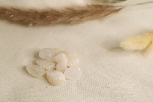QUARTZ LAITEUX